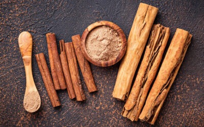True Ceylon cinnamon and cassia: what’s the difference?