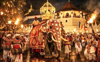 The Kandy Esala Perahera: why ‘before and after’ travellers choose to stay in Negombo!