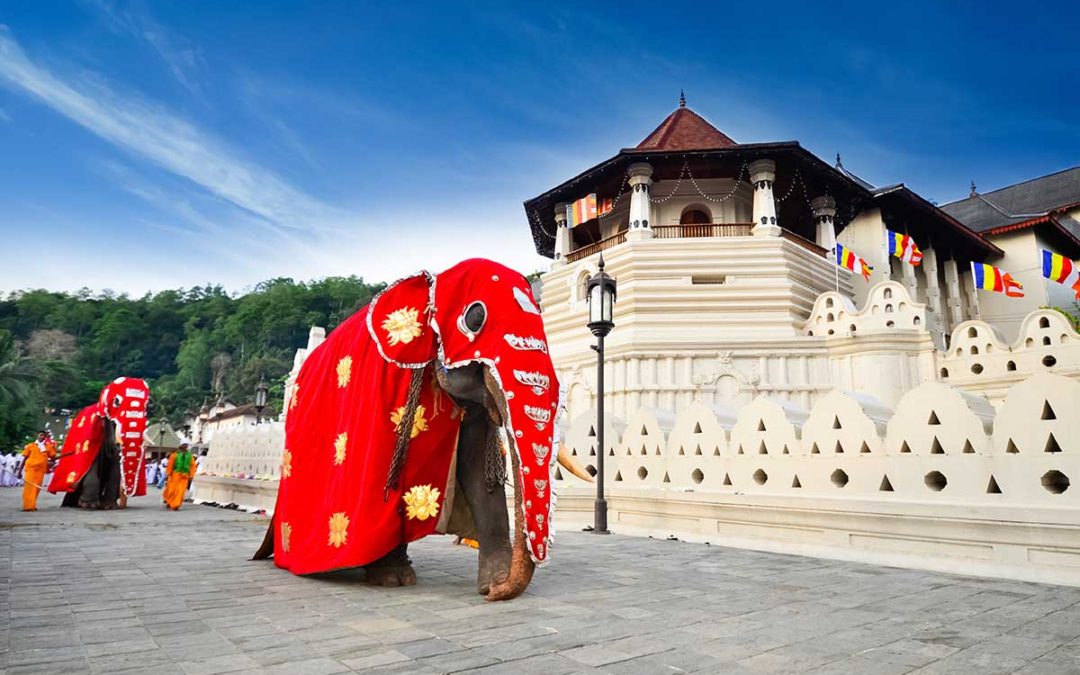 Negombo a perfect base camp for one-day and overnight tour experiences!