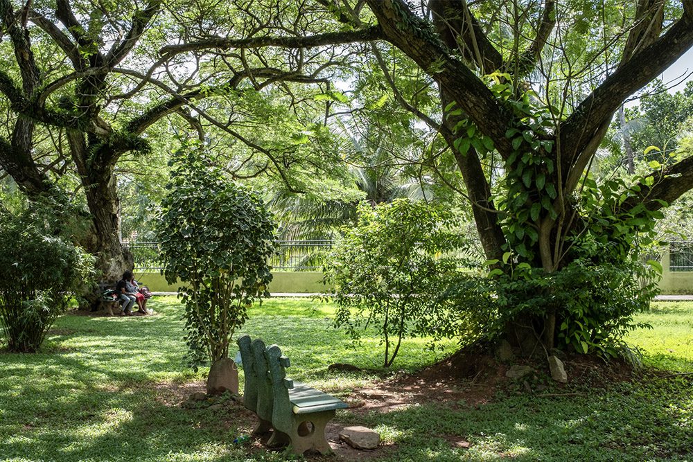 The menu Salt Restaurant at Terrace Green Hotel Negombo includes international and local cuisine. Food for all seasons!