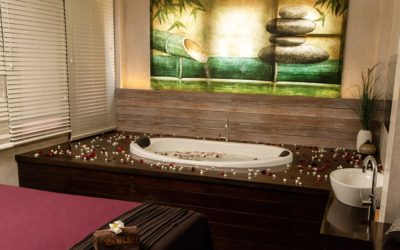 They come to Sri Lanka for our Ayurveda wellness, not our wildlife!